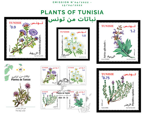 PLANTS OF TUNISIA