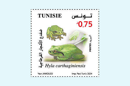 Animals in danger of extinction in Tunisia