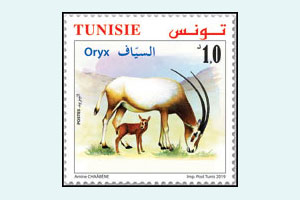 Animals in danger of extinction in Tunisia : The Oryx