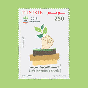 International year of Soils