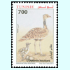 The Houbara Bustard