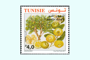 Citrus fruits from Tunisia : The Sweet Lemon Bergamot
