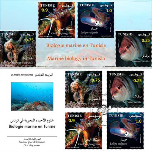 Biologie marine en Tunisie