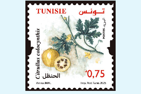 Plants of Tunisia